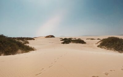 Corralejo Dunes Nature Park, what to see, when to visit, and how to get there